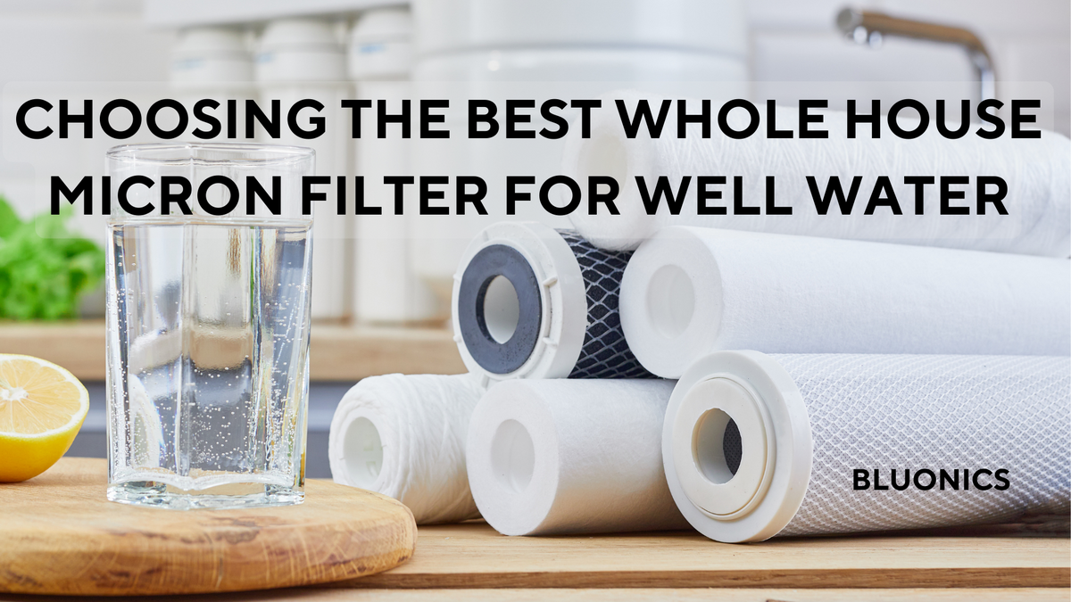 Choosing the Best Whole House Micron Filter for Well Water – Bluonics