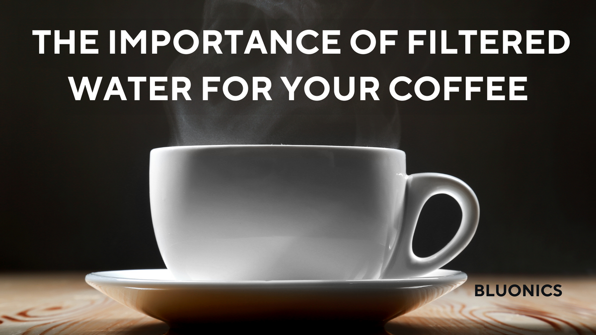 The Importance of Using Good Filtered Water for Your Coffee Bluonics