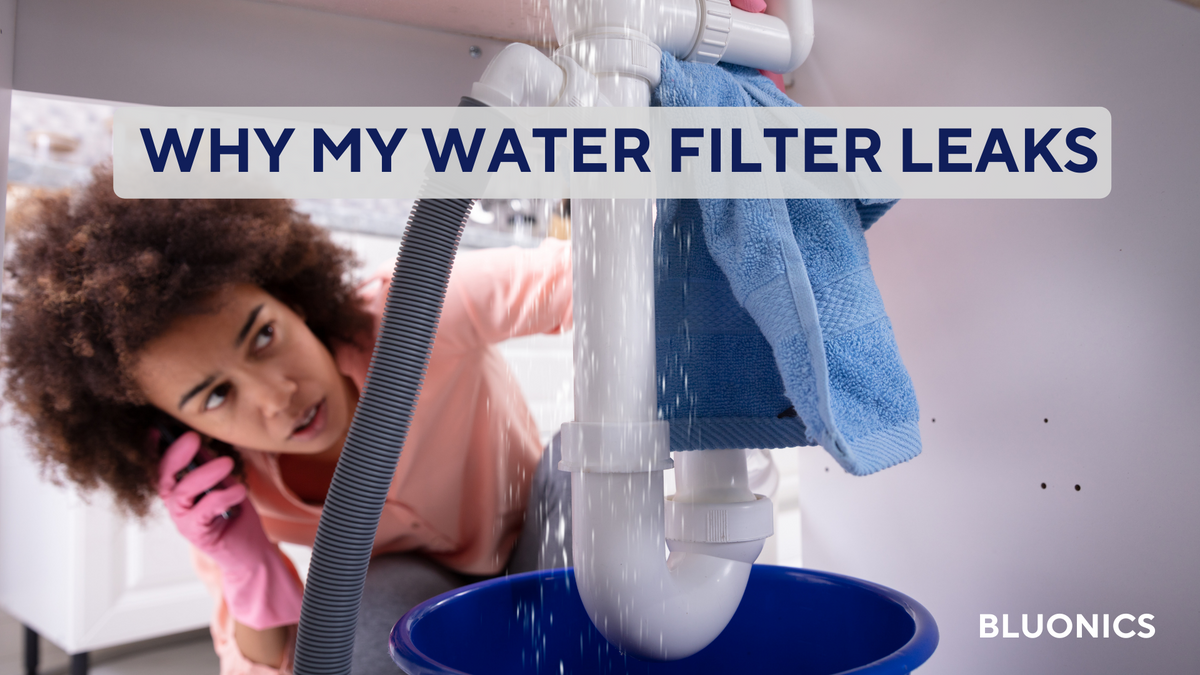 Why Is My Water Filtration System Leaking? – Bluonics