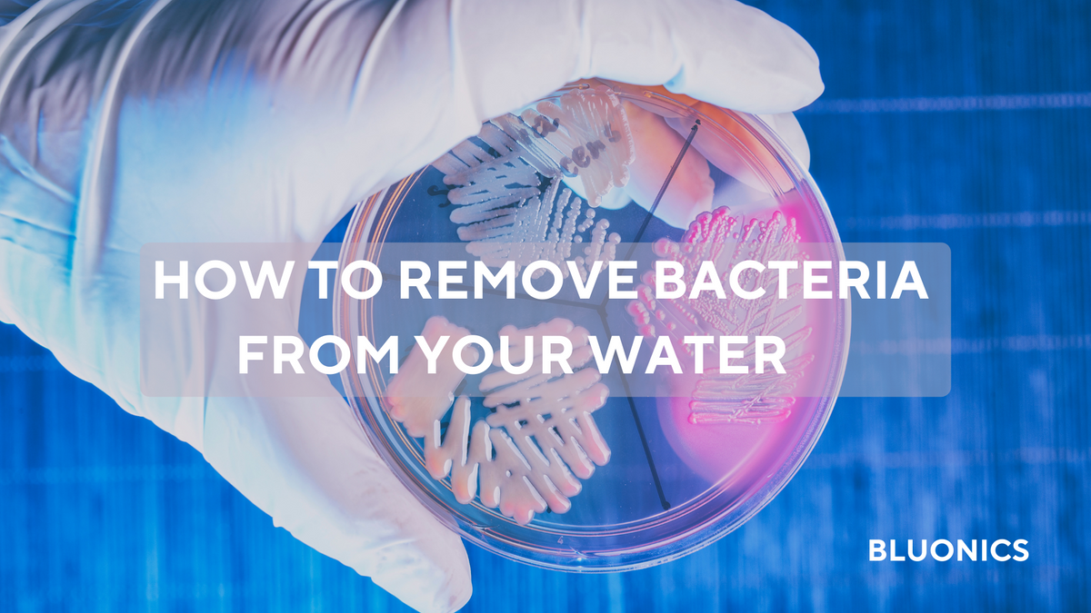 How to remove Bacteria from your water Bluonics