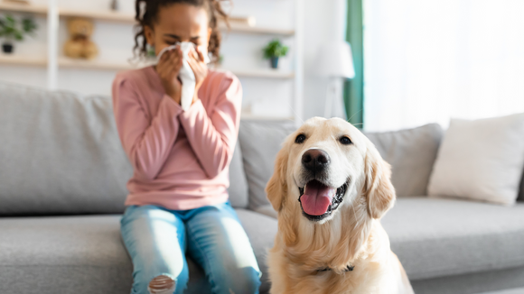 Spring Allergies: How Air and Water-Based Filters Can Help You Breathe Easier