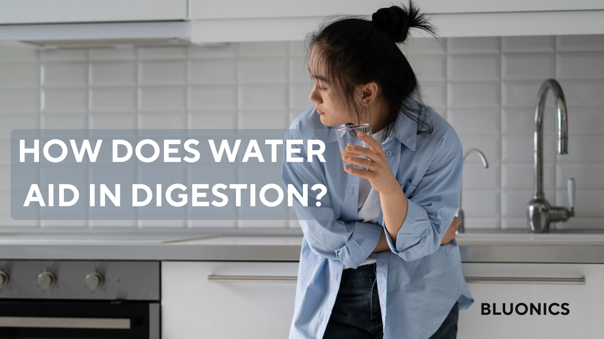 How water aids in digestion Bluonics