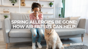 Spring Allergies Be Gone: How Air Filters Can Help