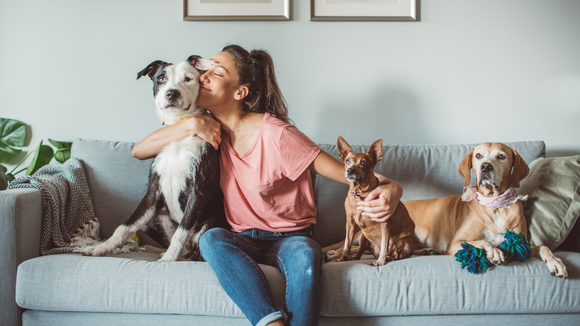 House Pets and Water Filtration: Why Clean Water is Essential for Your Furry Friends