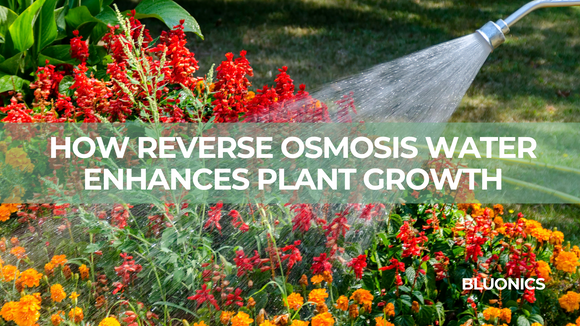 The Clear choice: How Reverse Osmosis Water Enhances Plant Growth
