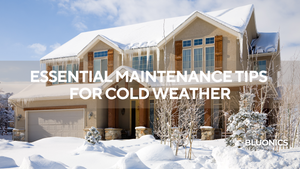 Winter Care: Essential Maintenance Tips for Cold Weather