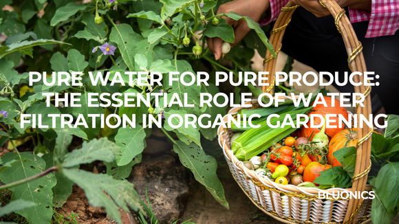 Pure Water for Pure Produce: The Essential Role of Water Filtration in Organic Gardening