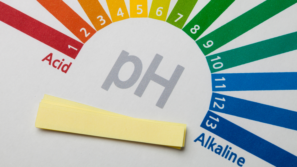 What Are the Benefits of Alkaline Water? And How Reverse Osmosis Systems Can Help You Get It