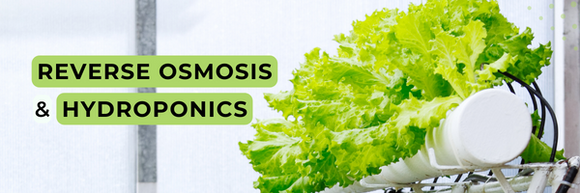 Why Reverse Osmosis is the best choice for Hydroponics