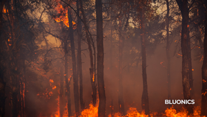The Importance of Whole-House and Drinking Water Filtration, Along with HEPA Air Filters, in Combating Pollution and Post-Fire Contamination