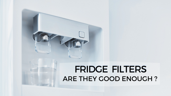 Fridge Filters: Are they good enough?