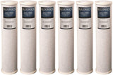 Big Blue CTO Carbon Block Water Filters (6) 4.5" x 20" Whole House Cartridges. Good for Chlorine, Pesticides, Herbicides, Insecticides, Bad Taste and Odor. dupont ispring apec filtro de agua culligan systems aquasana water purifier whole house water filter whole house water filter system aquasana filter replacement cartridge well water Plomero plumber contractor purificador de agua toda la casa agua de poso Water filtrations system with UV sterilizer Plumber Plomero 