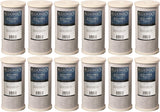 Bluonics Big Blue CTO Carbon Block Replacement Water Filters (12) 4.5" x 10" dupont ispring apec filtro de agua culligan systems aquasana water purifier whole house water filter whole house water filter system aquasana filter replacement cartridge well water Plomero plumber contractor purificador de agua toda la casa agua de pozo